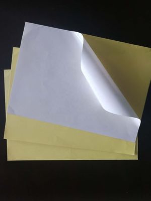 Χάρτινα αυτοκόλλητα θερμού μετάλλου χωρίς επικάλυψη για επικάλυψη PE και εύκολη εφαρμογή