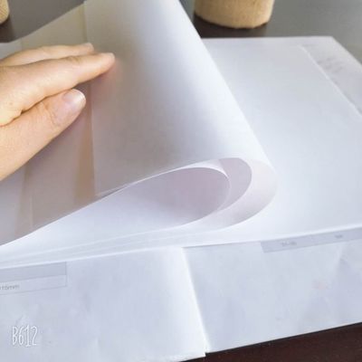 45% επιφανειακή λάμψη A4 Jumbo Paper Roll Προσαρμόσιμη με αποδεκτή παραγγελία