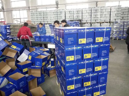 Πιο δημοφιλές χαρτί Α4 75 80 GSM Jumbo Roll με 45% λάμψη επιφάνειας και 88% λάμψη εκτύπωσης