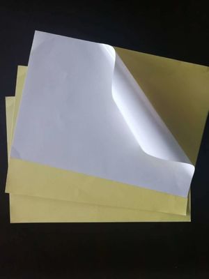 Ακριβώς από το χαρτί αυτοκόλλησης με ελαστικό κόλλημα και μεγάλο μέγεθος φύλλου