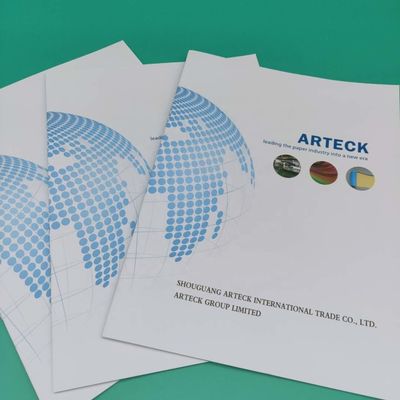 Ειδικό χαρτί με στρώση LWC χαρτί 787mm x 1092mm 500 φύλλα για υψηλή γυαλιστερή τελική
