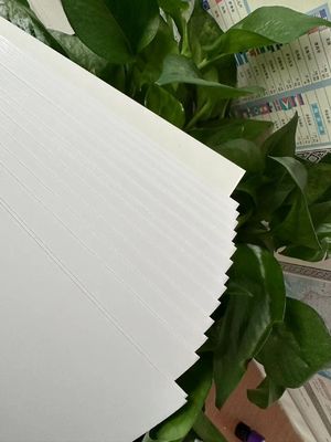 Προσαρμοσμένο χαρτί εκτύπωσης Hotselling 210/230/250/270/300gsm FBB/GC1/C1S του προτύπου