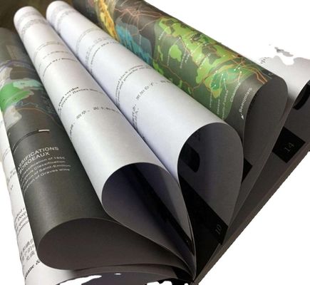 Δύο πλευρές επικαλυμμένες με C2S χαρτί χαρτών Matte Art In Roll συμβατό με την εκτύπωση Offset