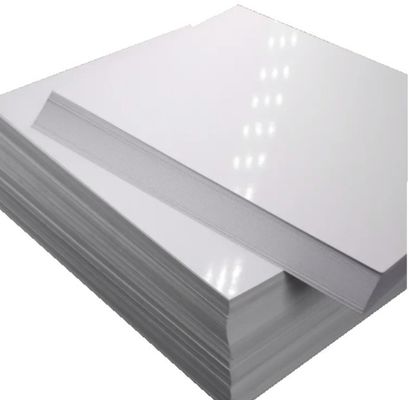 s Top Choice C2S Matte Art Card Paper Roll επικαλυμμένο και στις δύο πλευρές για ανώτερο φινίρισμα