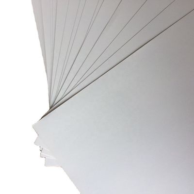 s Top Choice C2S Matte Art Card Paper Roll επικαλυμμένο και στις δύο πλευρές για ανώτερο φινίρισμα