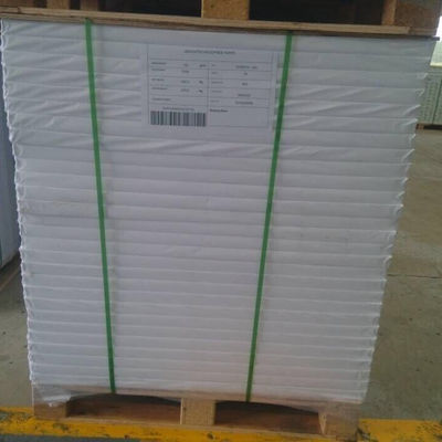 Δύο πλευρές καολινίτη 300g C1S Art Board για συσκευασία σχοινί στην αγορά του Ningbo