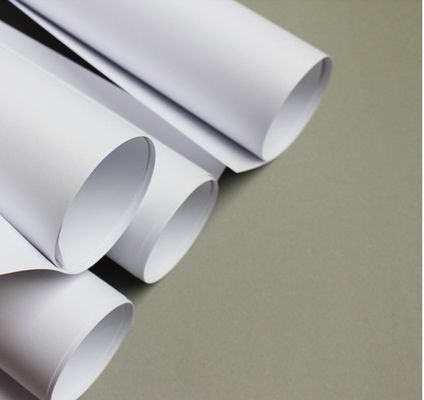80gm αντίγραφο χαρτί Jumbo Roll για εκτύπωση Custom Order