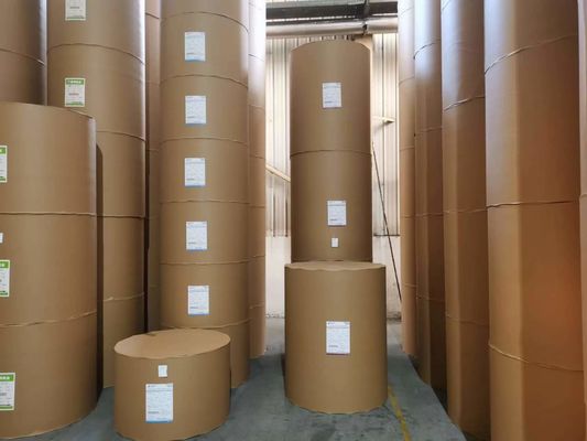 210gm-400gm C1S FBB Ελεφαντόδοντο για συσκευασία