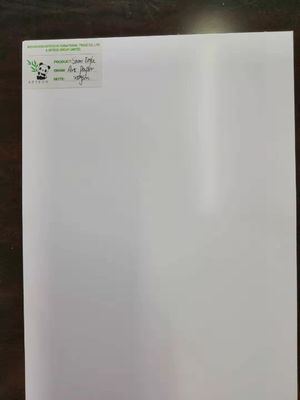 Χάρτινο χαρτί 80gm-250gm Χάρτινο χαρτί τέχνης Ματ σε πακέτο με διπλή επικάλυψη