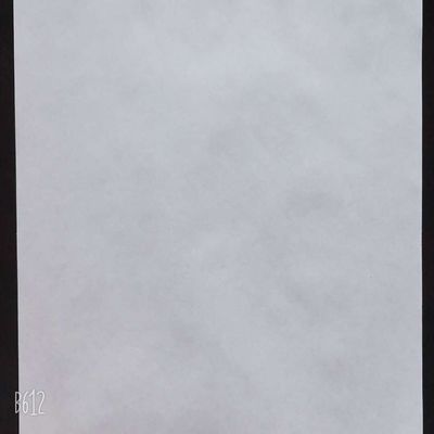 Σημειώσεις Χάρτινα συνδεδεμένα χρώματα για τις απαιτήσεις των πελατών